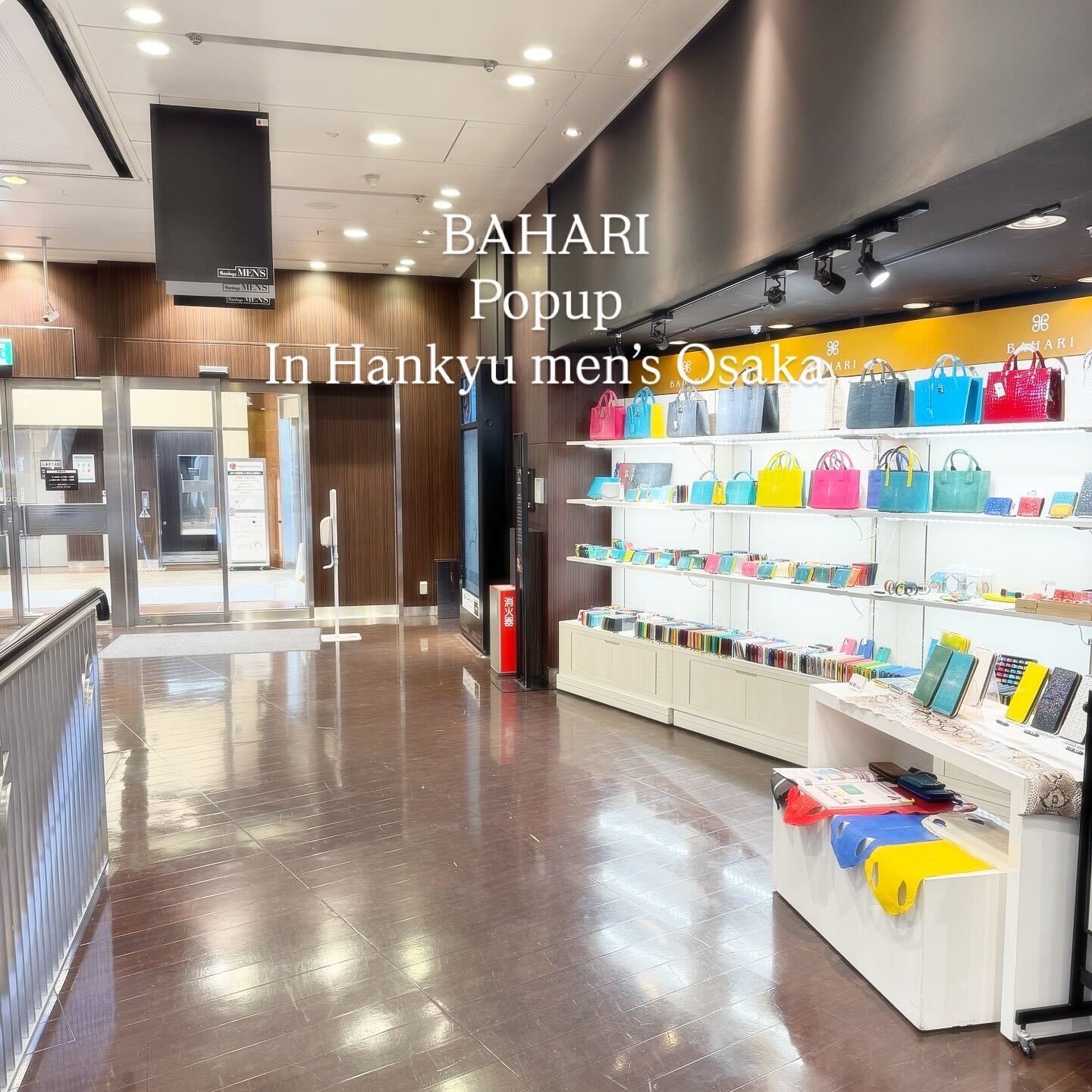 ºåµÞ¥á¥ó¥ºÂçºå