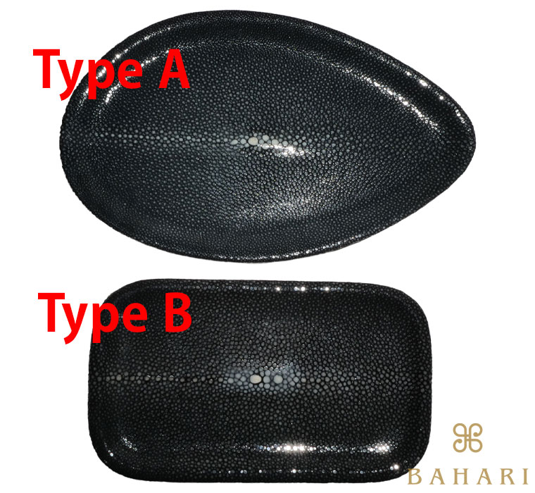 Type A¤ÈType B¤Î·Á¤Î°ã¤¤¼Ì¿¿
